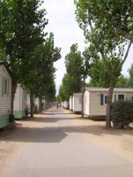 /album/galerie-photos/a7400291-l-jpg/